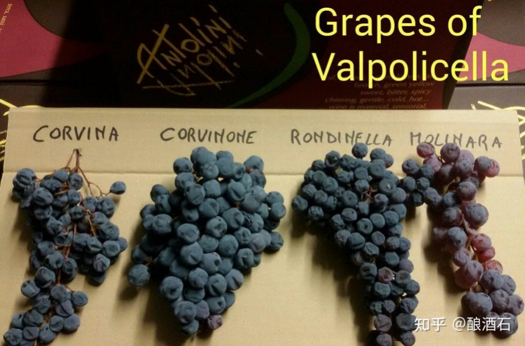 Famiglia Pasqua VALPOLICELLA SUPERIORE RIPASSO DOC