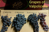 Famiglia Pasqua VALPOLICELLA SUPERIORE RIPASSO DOC