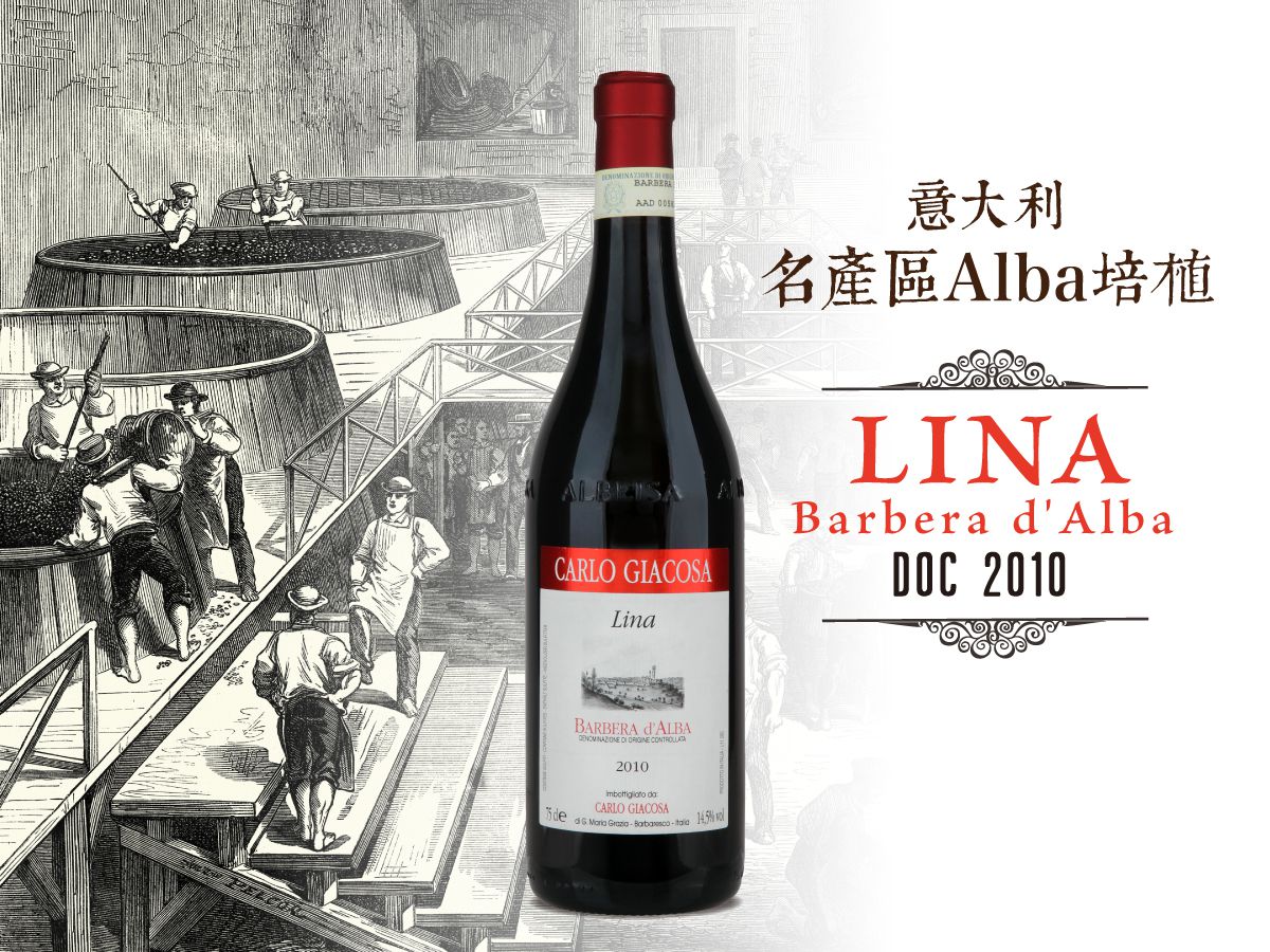 Carlo Giacosa Barbera︱Lina Barbera d'Alba DOC 2010
