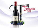 Traverso Merlot︱Sottocastello Rosso DOC COF 2007